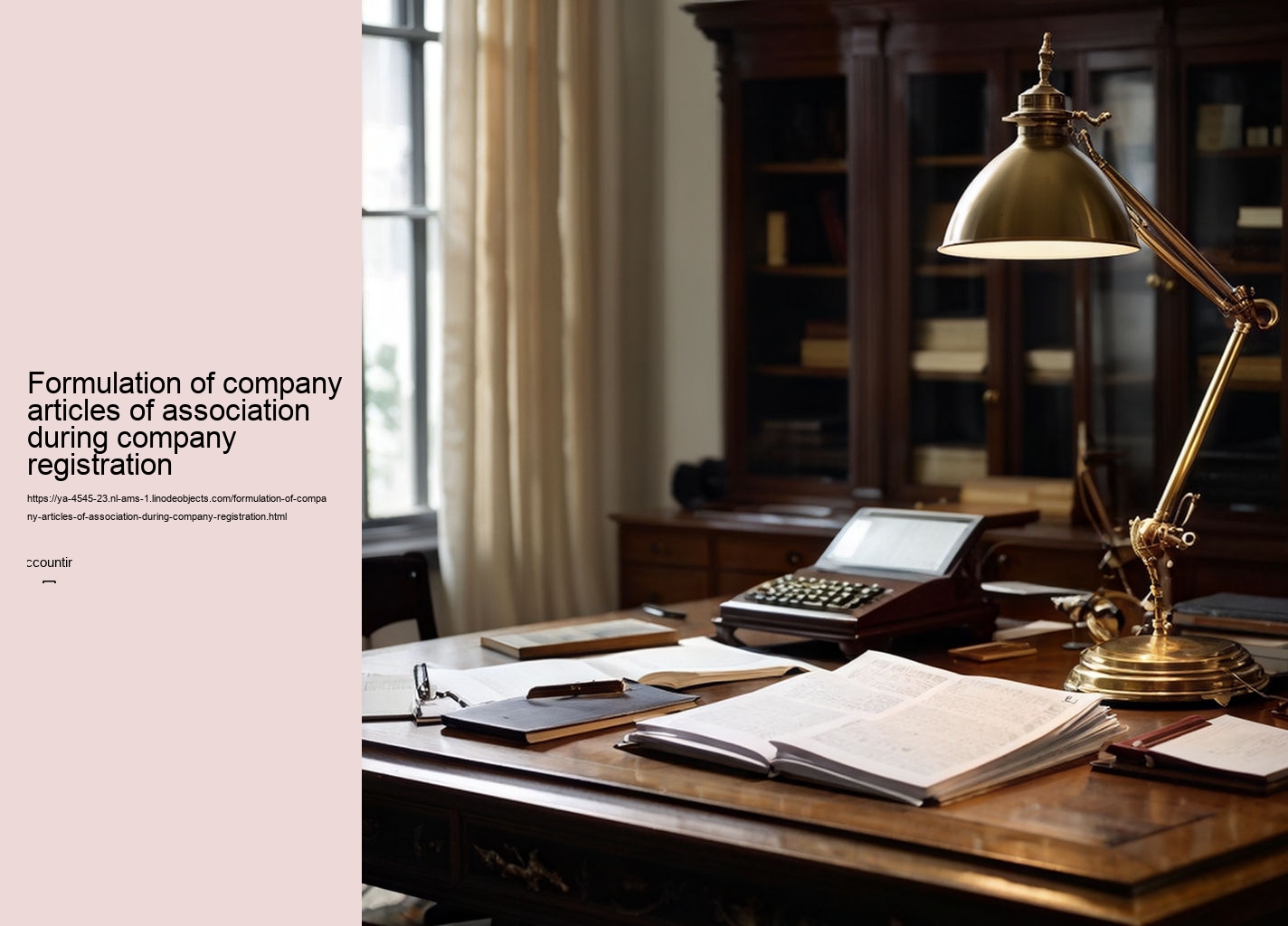 Formulation of company articles of association during company registration